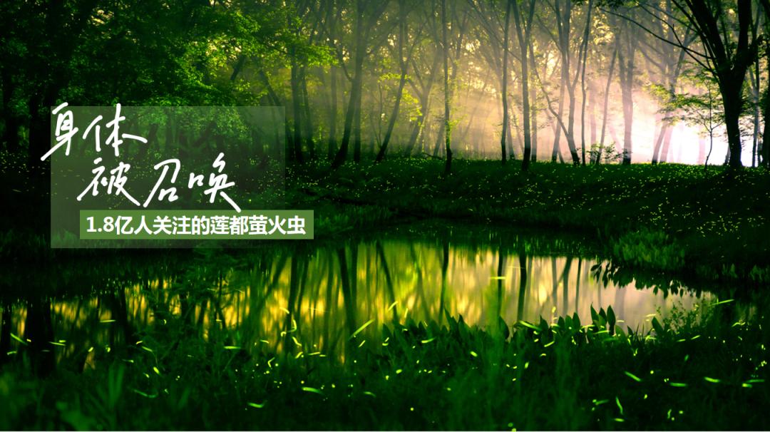 走，到丽水度假去！