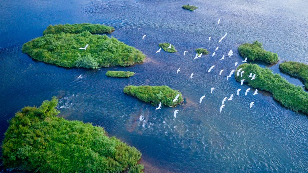 走，到丽水度假去！