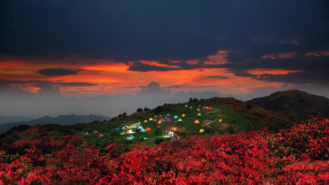 走，到丽水度假去！