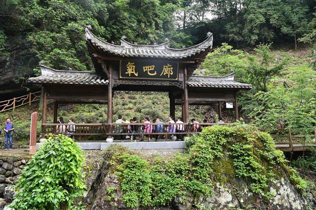 安徽石台：大山的“春天”在这个夏季“火热登场”