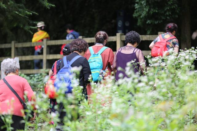 安徽石台：大山的“春天”在这个夏季“火热登场”