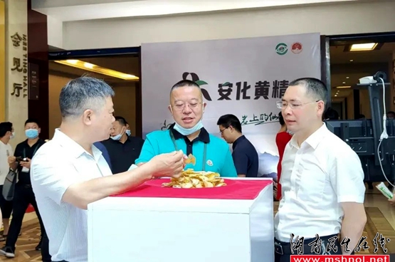 长沙市安化商会受邀参加第四届“湖南黄精”高峰论坛暨“安化黄精”推介会