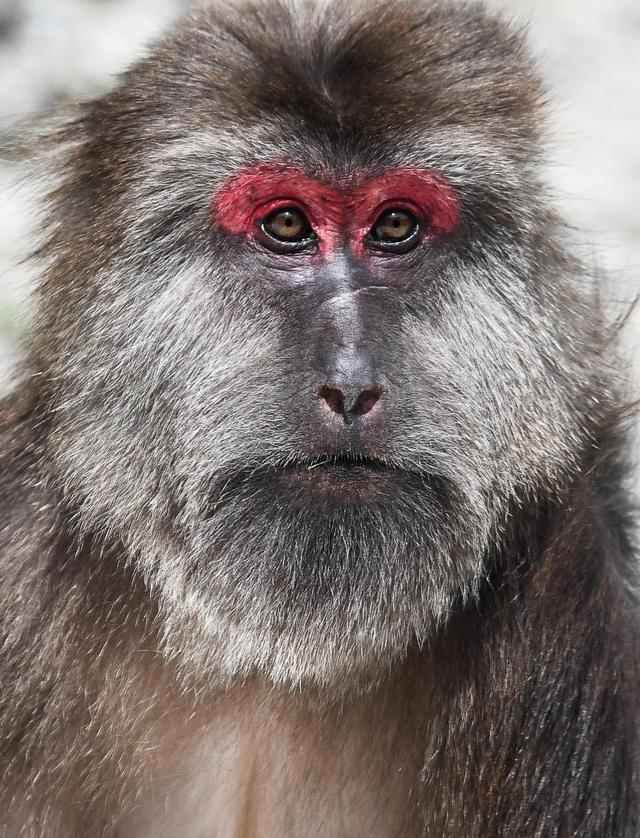 “千面”梵净山