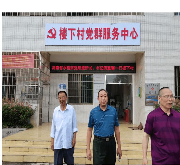 赋予大米新功能-邓泗洲：何登骥水稻新品系