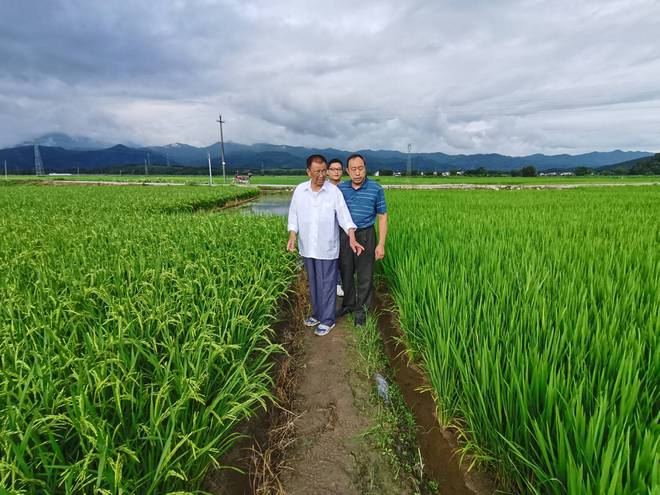 赋予大米新功能-邓泗洲：何登骥水稻新品系