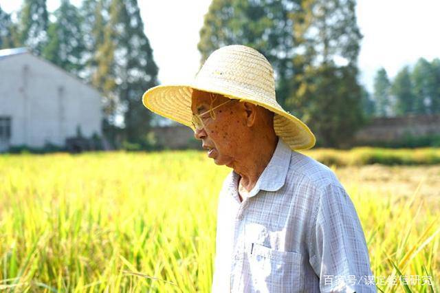 赋予大米新功能-邓泗洲：何登骥水稻新品系