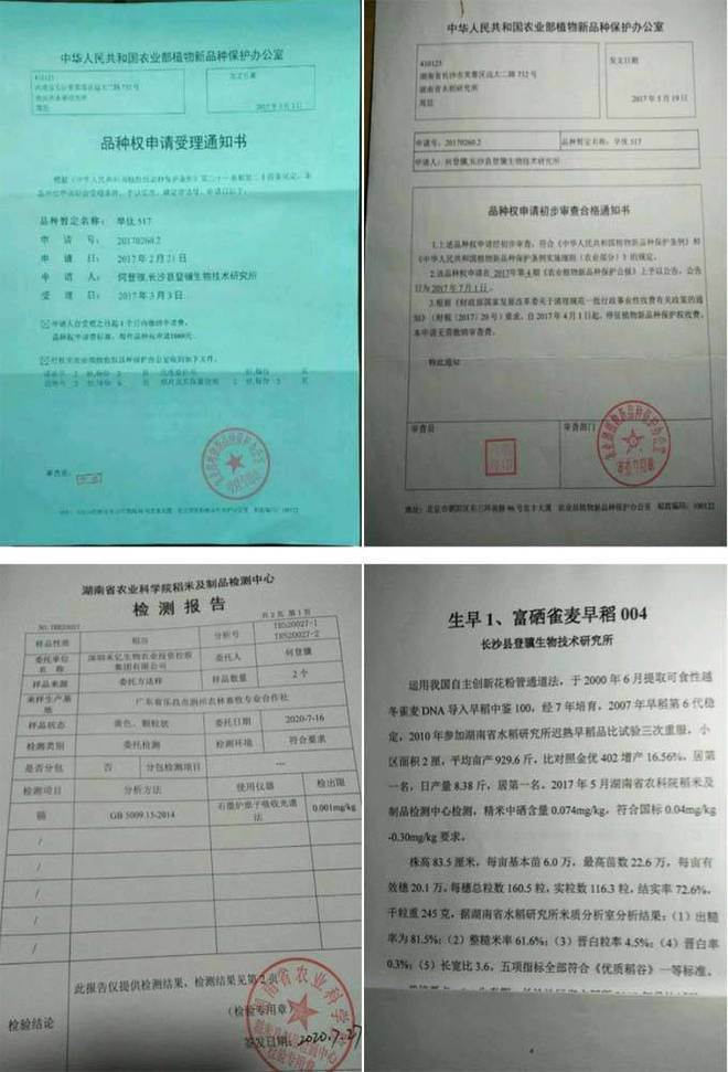 赋予大米新功能-邓泗洲：何登骥水稻新品系