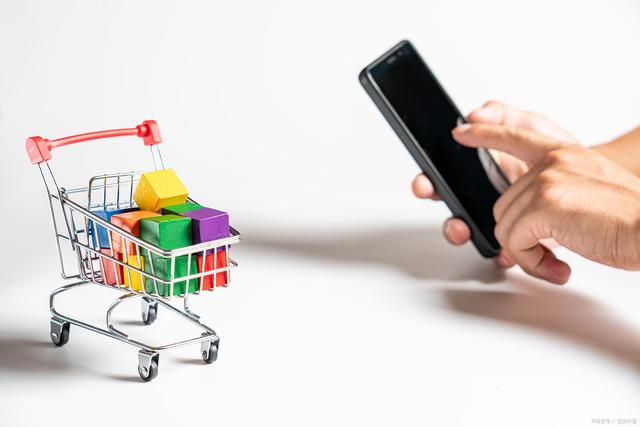 构建返乡农业电子商务创业平台