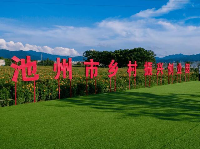 安徽东至：“村企共建”绘“钱”景