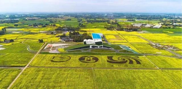 手握“新农具” 成都大邑县农户耕出千亩“智慧田”