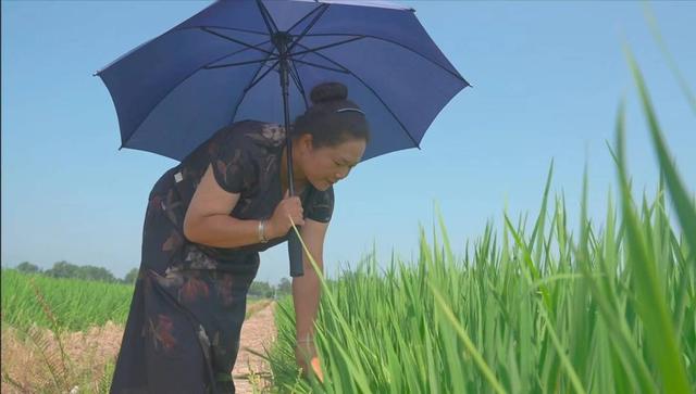 手握“新农具” 成都大邑县农户耕出千亩“智慧田”