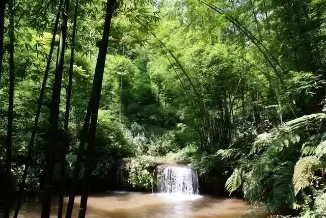 水竹相依！山水相融！世人只知蜀南有竹海！不闻兰州竹林沟！