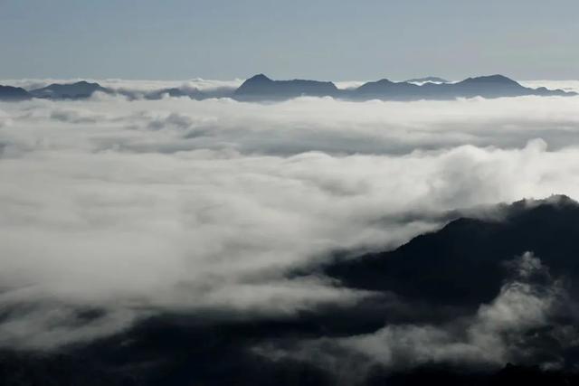 【央媒头条全球推介】｜当夏天遇上云海！这样的仙气康县你爱了吗？