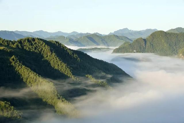 【央媒头条全球推介】｜当夏天遇上云海！这样的仙气康县你爱了吗？