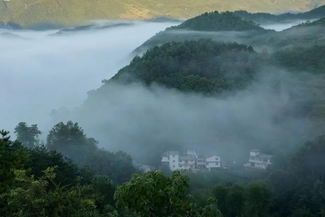 【央媒头条全球推介】｜当夏天遇上云海！这样的仙气康县你爱了吗？