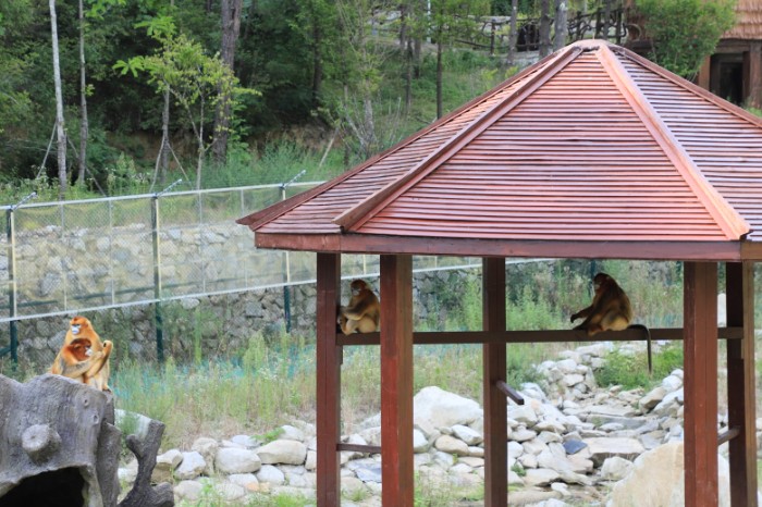 汉中市洋县打造华阳景区升级版助推全市旅游发展