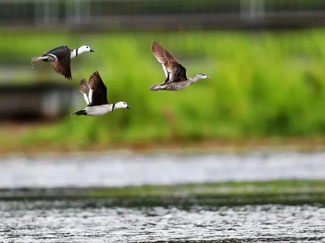 来腾冲必打卡的奇山异水