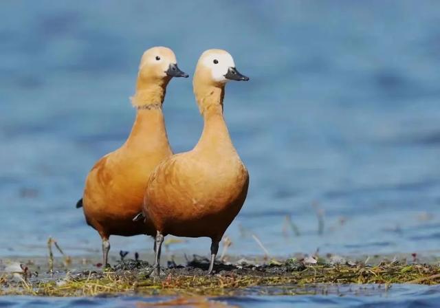 图集丨到和顺古镇里看“他们”的爱情