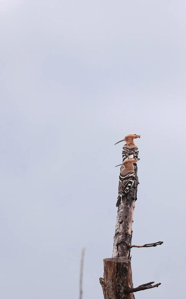 图集丨到和顺古镇里看“他们”的爱情