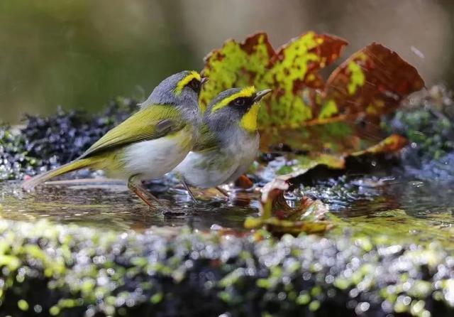 图集丨到和顺古镇里看“他们”的爱情