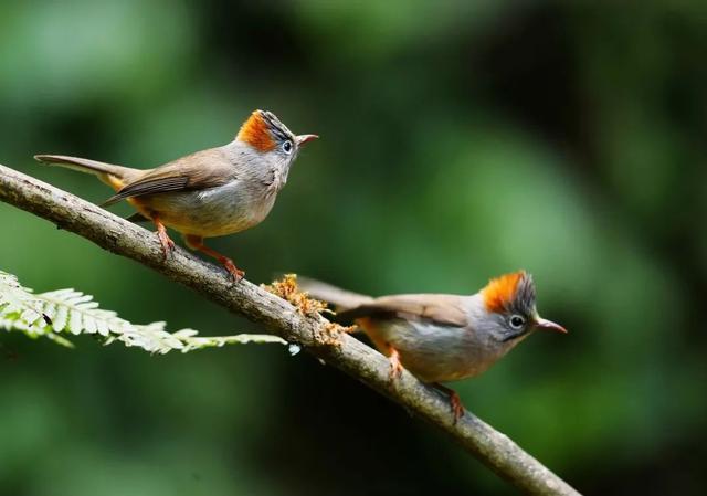 图集丨到和顺古镇里看“他们”的爱情