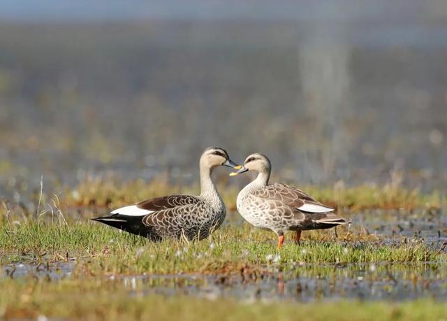 图集丨到和顺古镇里看“他们”的爱情