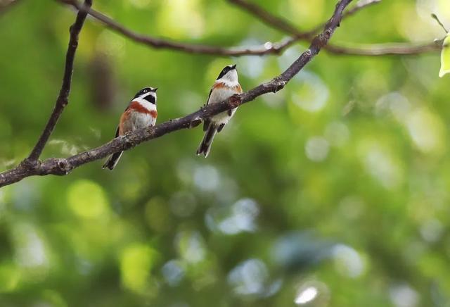 图集丨到和顺古镇里看“他们”的爱情