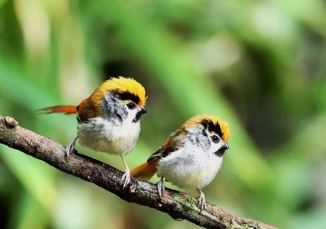 图集丨到和顺古镇里看“他们”的爱情