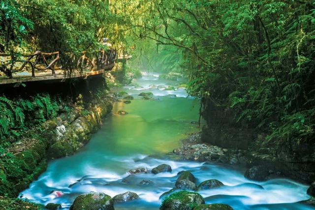 纵览巴国文化，去达州清凉一夏！