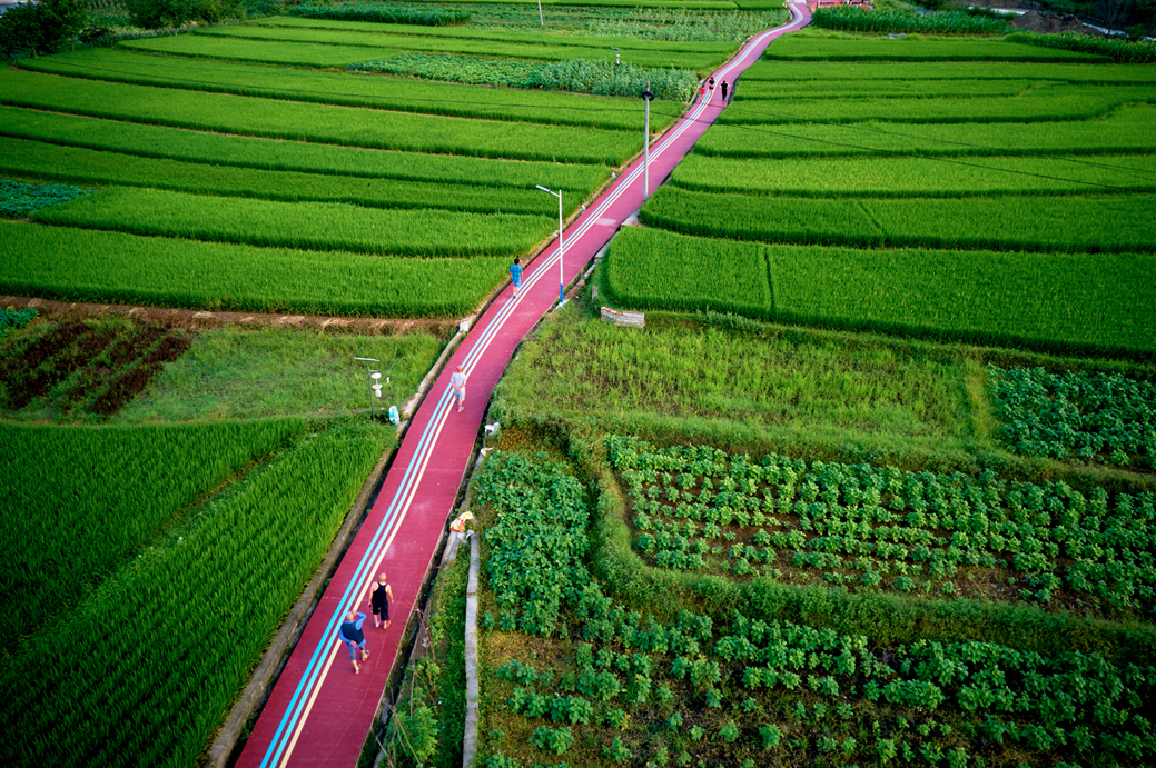蝉鸣鸟啼的田园牧歌，藏在四川那抹绿色里！