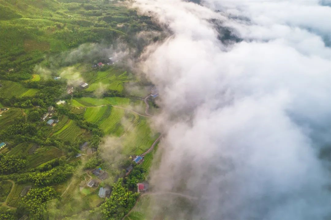 蝉鸣鸟啼的田园牧歌，藏在四川那抹绿色里！
