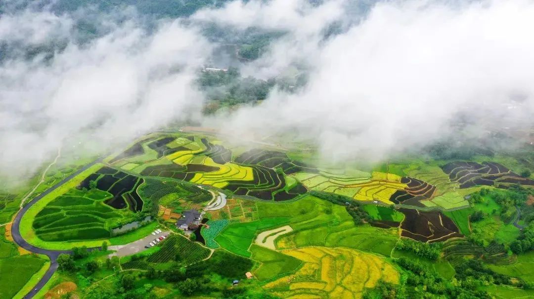 蝉鸣鸟啼的田园牧歌，藏在四川那抹绿色里！