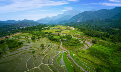 蝉鸣鸟啼的田园牧歌，藏在四川那抹绿色里！