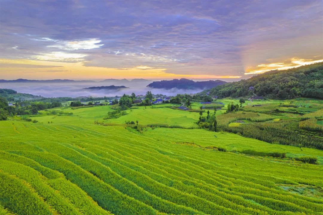 蝉鸣鸟啼的田园牧歌，藏在四川那抹绿色里！