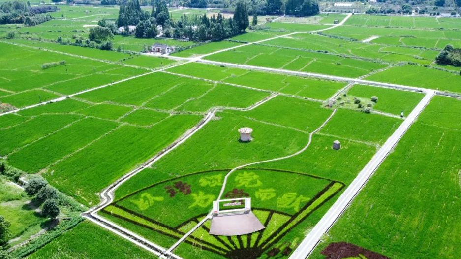 蝉鸣鸟啼的田园牧歌，藏在四川那抹绿色里！