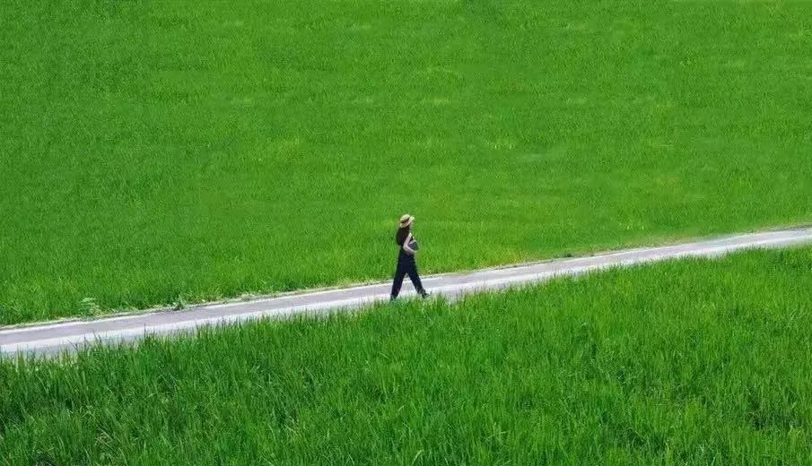 蝉鸣鸟啼的田园牧歌，藏在四川那抹绿色里！