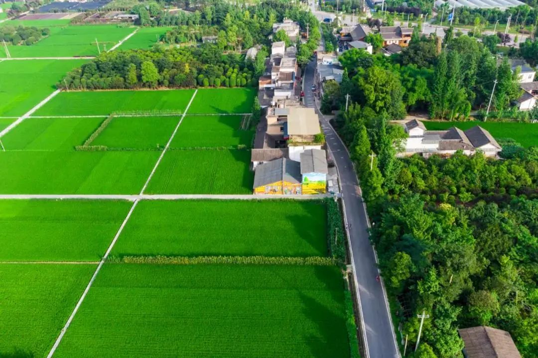 蝉鸣鸟啼的田园牧歌，藏在四川那抹绿色里！