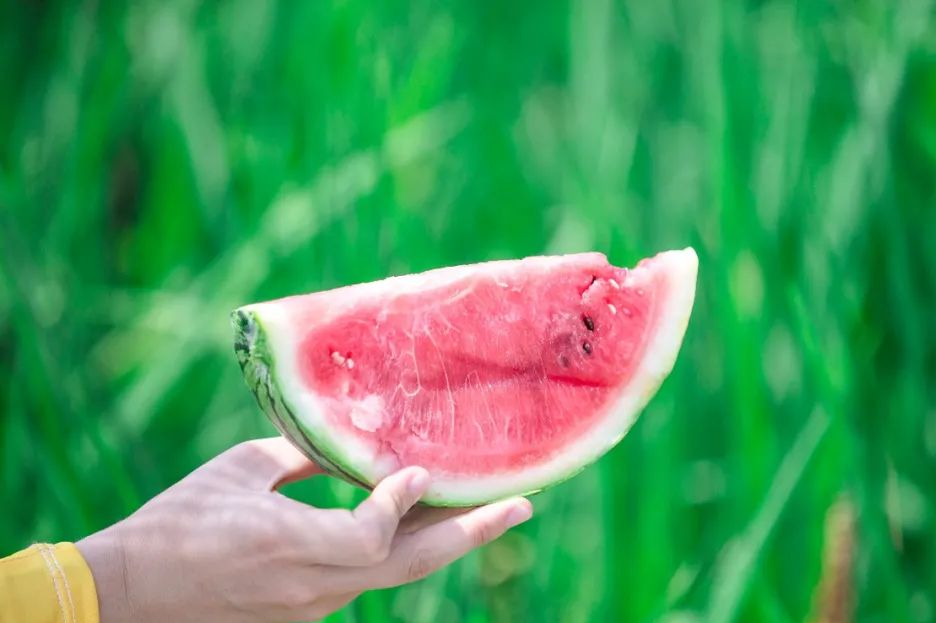 蝉鸣鸟啼的田园牧歌，藏在四川那抹绿色里！