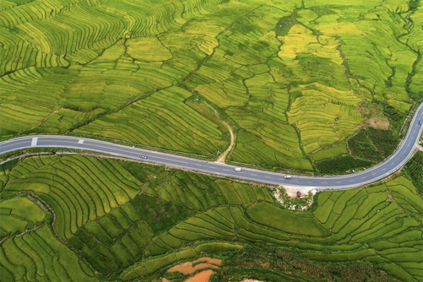 蝉鸣鸟啼的田园牧歌，藏在四川那抹绿色里！
