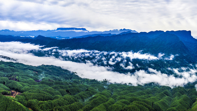 四川版“天空之城”，云海触手可及！