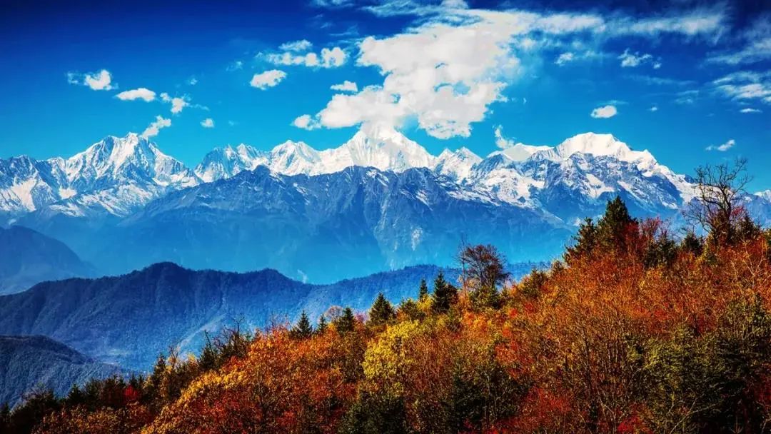 四川版“天空之城”，云海触手可及！