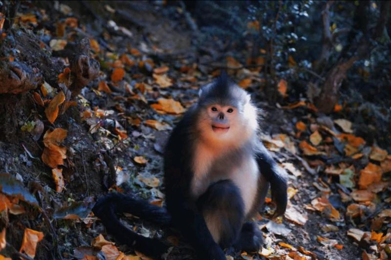 世界的香格里拉 风景美如画