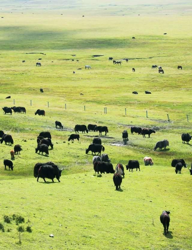 最甘肃的甘肃，到底在哪里？