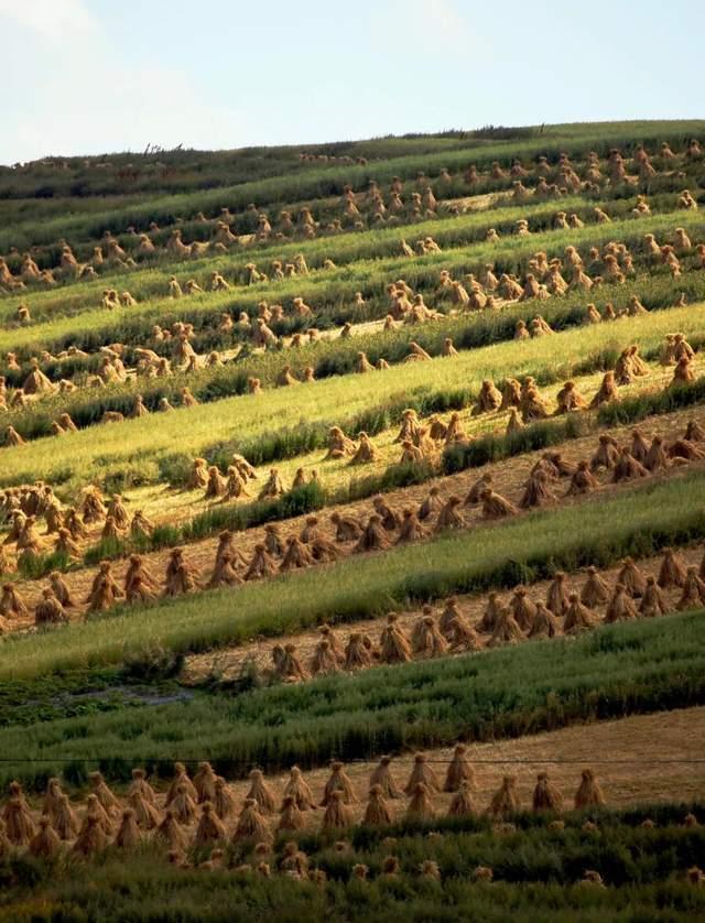 最甘肃的甘肃，到底在哪里？