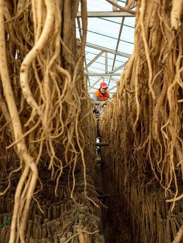 最甘肃的甘肃，到底在哪里？