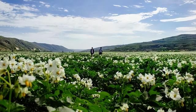 最甘肃的甘肃，到底在哪里？