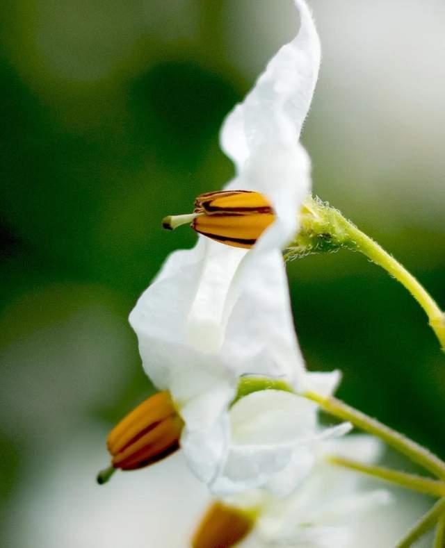 最甘肃的甘肃，到底在哪里？