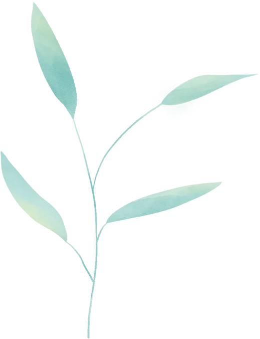 山水自在中国茶