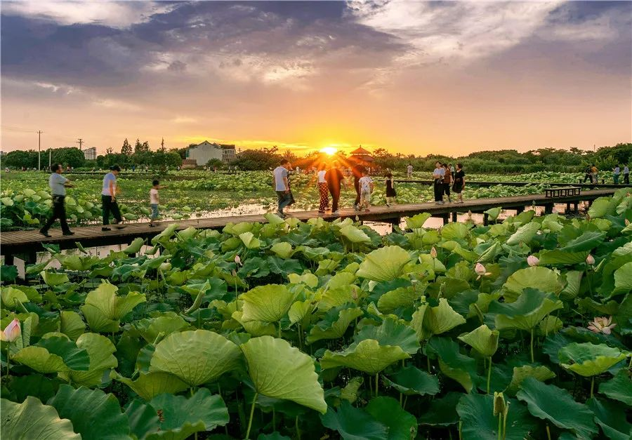 五大洲华裔齐聚太湖湾区，访大美鸿山！品吴韵风华！ | “亲情中华•云游湖湾”无锡滨湖特色营系列报道之六