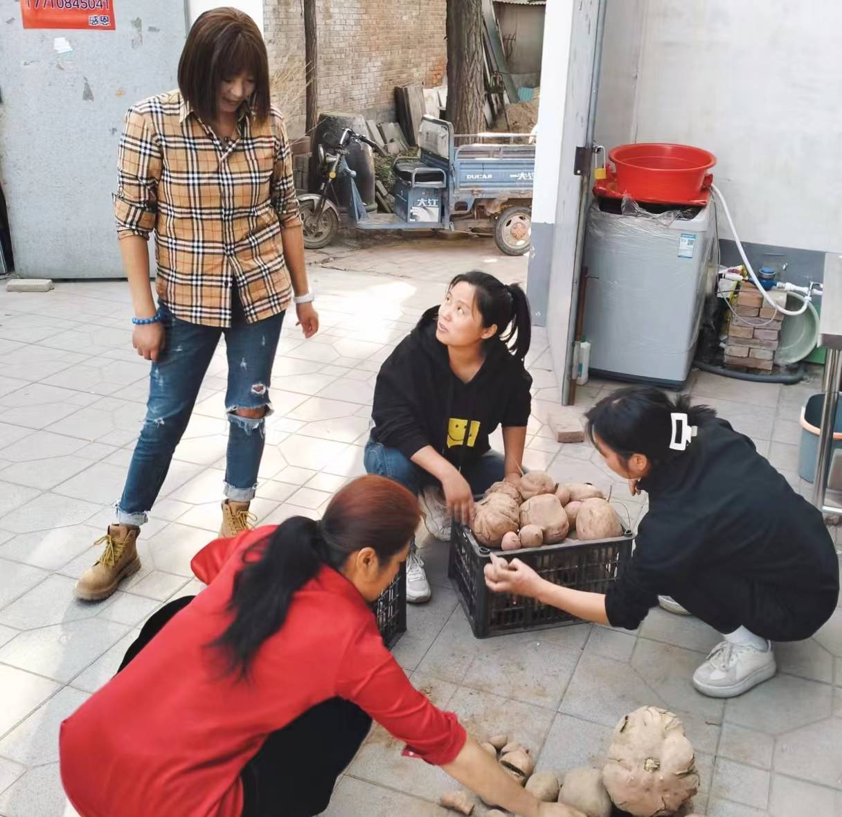 薯你最美-与爱同行